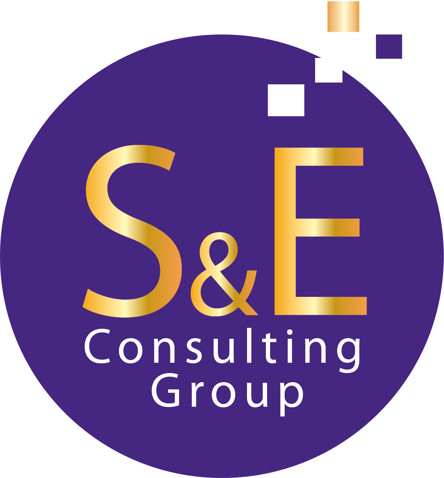 S&E CONSULTING GROUP